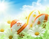 pic for Easter Eggs And Daisies 